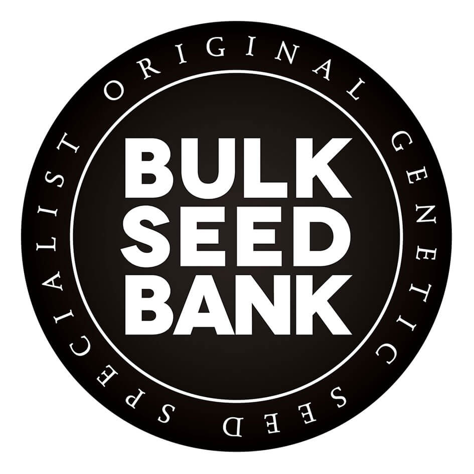 Feminized Cannabis Seeds - Autoflower cannabis seeds