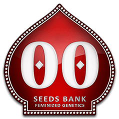 00 Seeds - Autoflower cannabis seeds - Zemlja - Trimpro