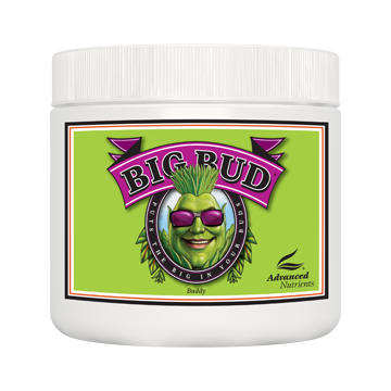 Big Bud Powder 130 G