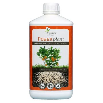 Power Plant  1 L