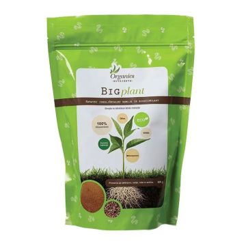 Big Plant  500 g